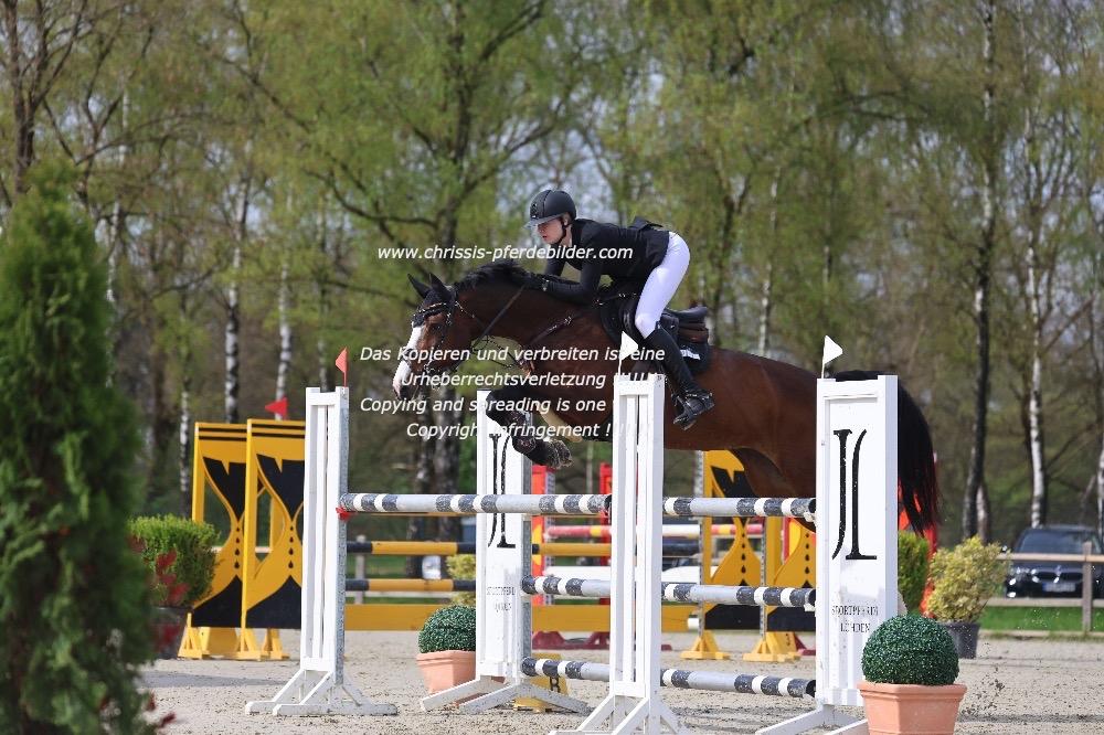 Preview joleen mueller mit balou s grandessa IMG_0471.jpg